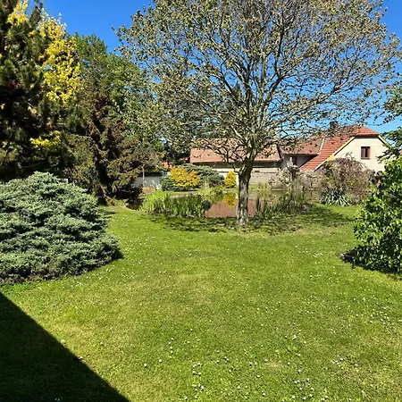 Apartman Apartmany Knezicky
